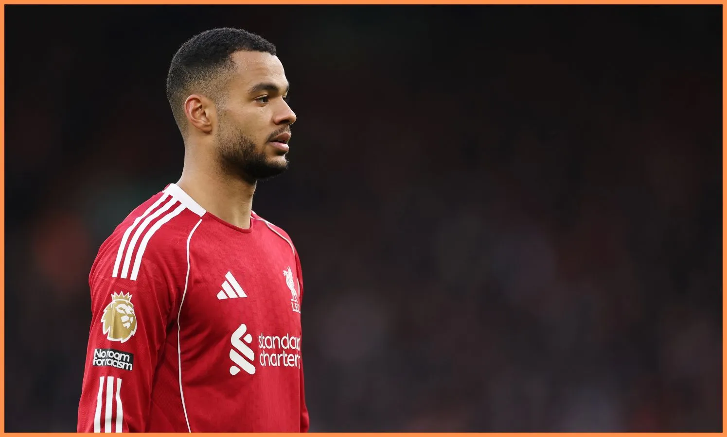 Cody Gakpo jadi incaran serius Tottenham Hotspur dan masa depannya di Liverpool kini berada di ujung tanduk