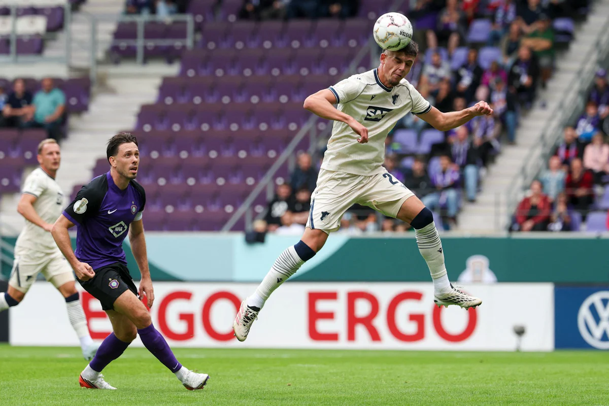 TSG 1899 Hoffenheim menang telak atas Erzgebirge Aue di ajang DFB-Pokal
